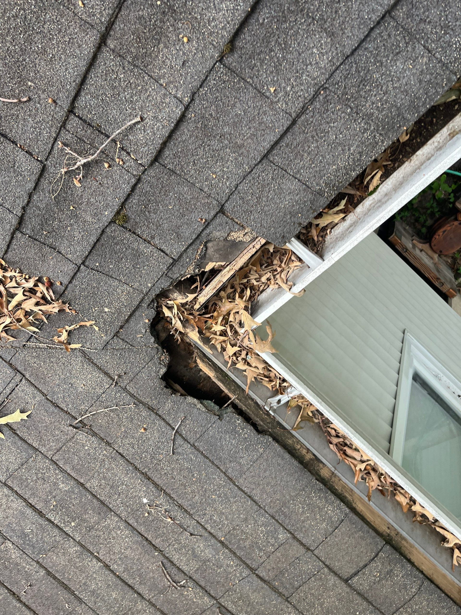 Clogged Gutters Can Cause Water Damage To Your Roof