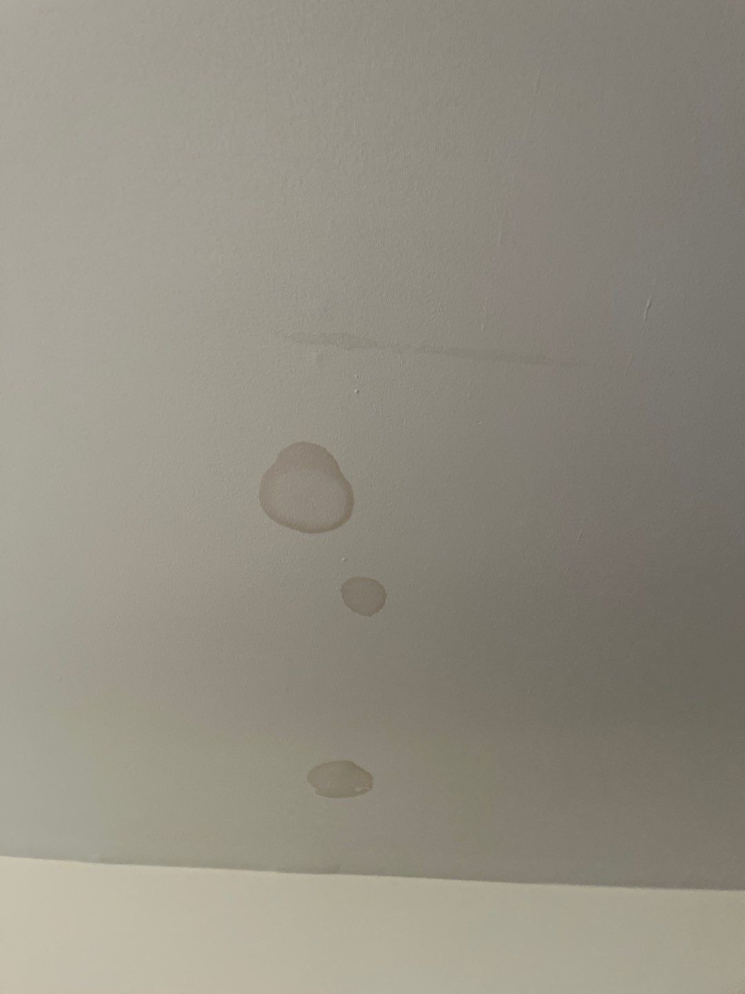 Water Stains on Ceiling?